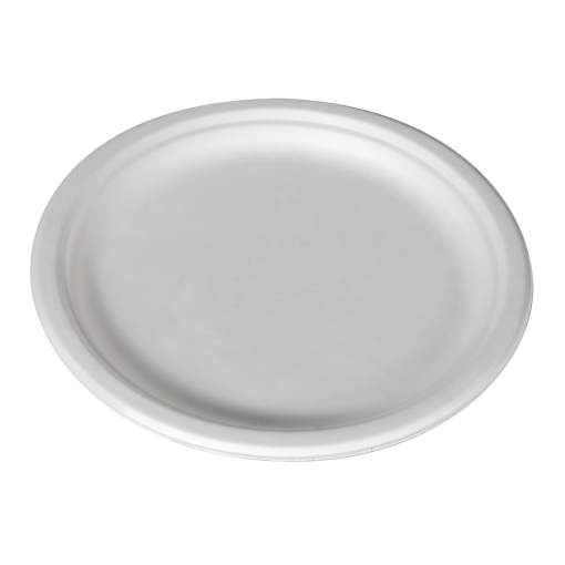 YesEco Eco Tableware 10" Bagasse Plate
